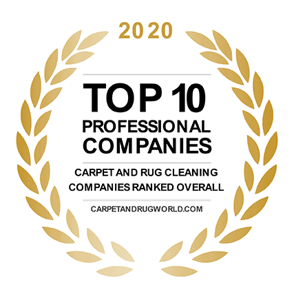 Top 10 Professional Companies